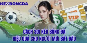 Cách Soi Kèo Bóng Đá Hiệu Quả Cho Người Mới Bắt Đầu 8 cách soi kèo bóng đá hiệu quả cho người mới bắt đầu